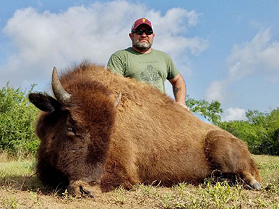 South Texas Buffalo Hunts