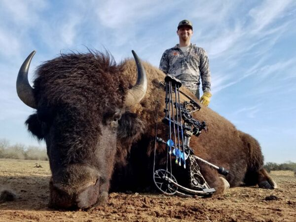 South Texas Buffalo Hunts