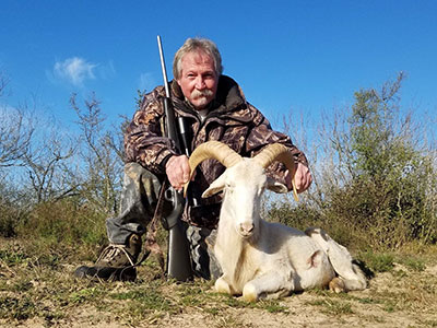 South Texas Ram Hunts