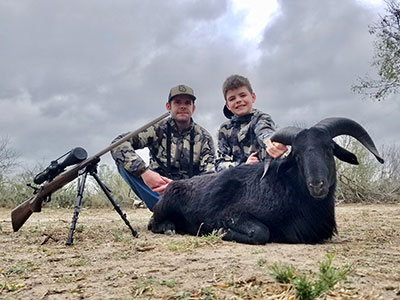 South Texas Ram Hunts