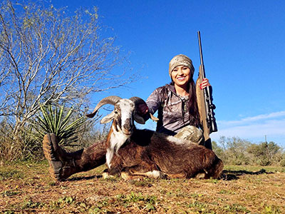 South Texas Ram Hunts