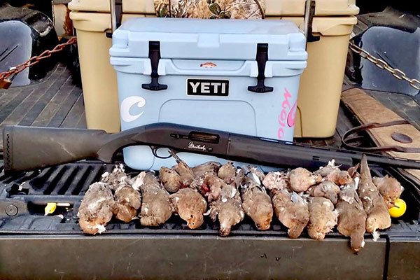 South Texas Dove Hunts