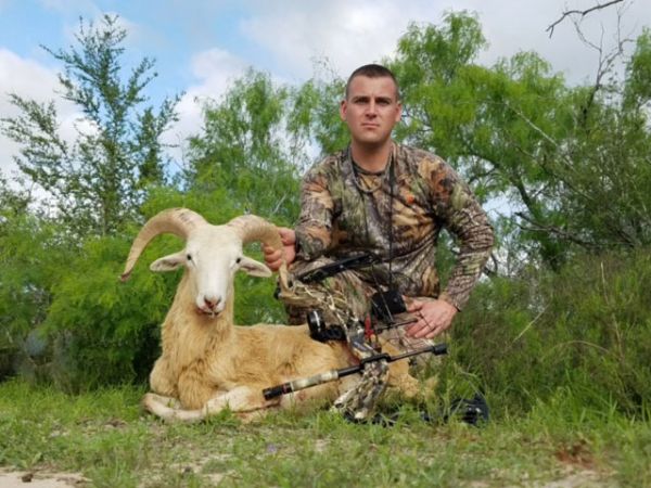 South Texas Ram Hunts