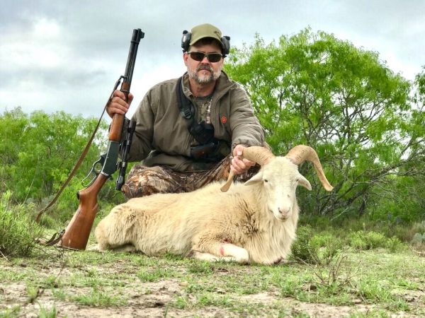 South Texas Ram Hunts