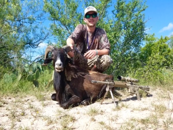 South Texas Ram Hunts