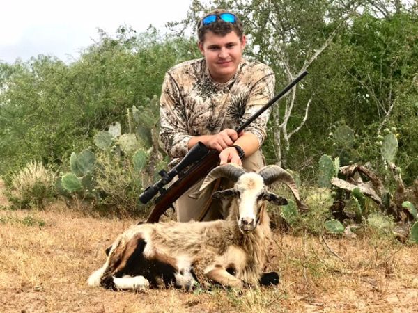 South Texas Ram Hunts