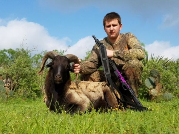 South Texas Ram Hunts