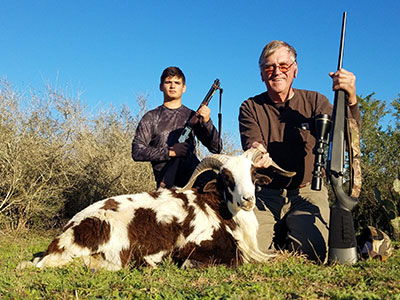 South Texas Ram Hunts